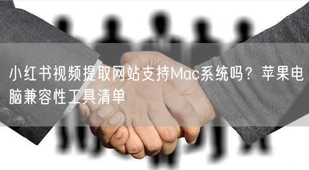 小红书视频提取网站支持Mac系统吗？苹果电脑兼容性工具清单