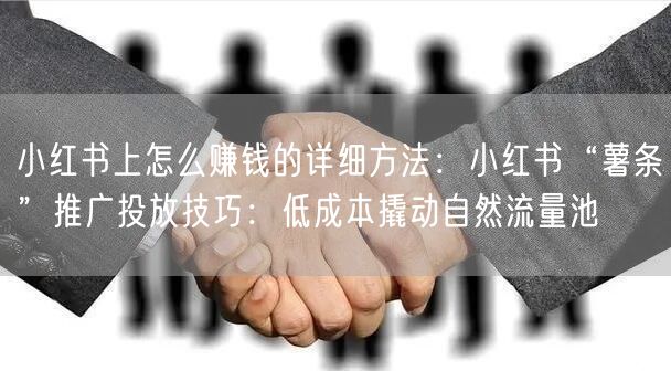 小红书上怎么赚钱的详细方法：小红书“薯条”推广投放技巧：低成本撬动自然流量池