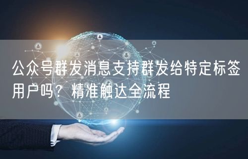 公众号群发消息支持群发给特定标签用户吗？精准触达全流程